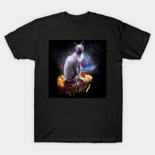 Galaxy Space Sphynx Hairless Cat On Pizza T-Shirt